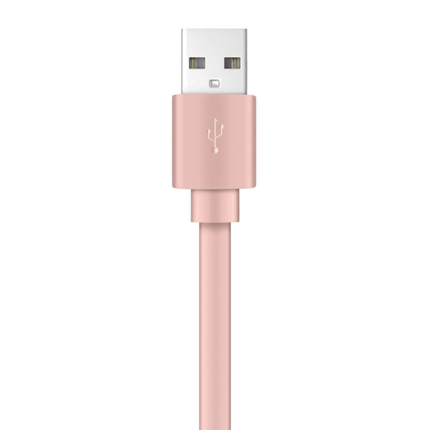 Xyst Charge- und Synchronisations-USB-auf-Lightning-Flachkabel 1,2 m
