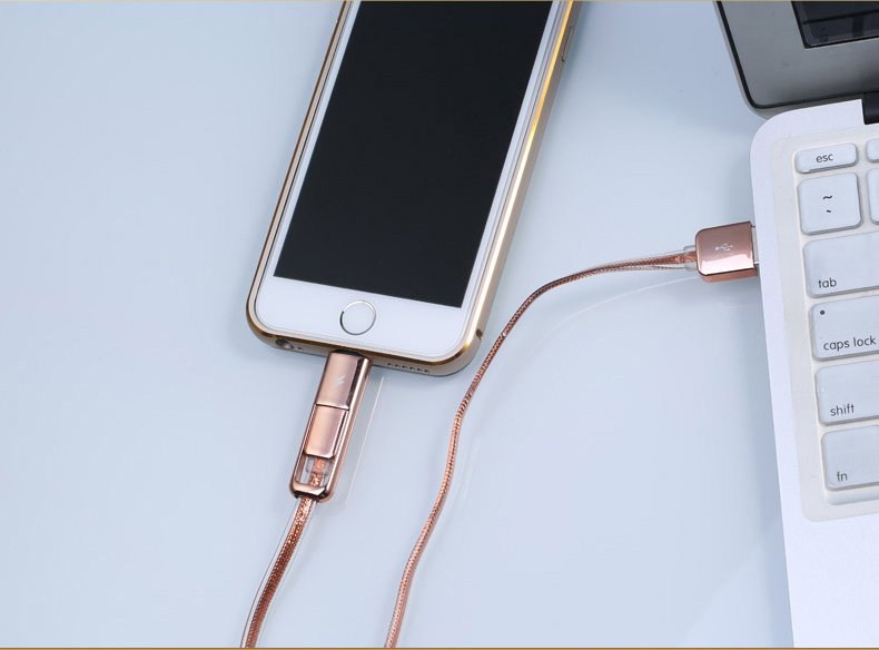 Golden Noodle Two in One Cable