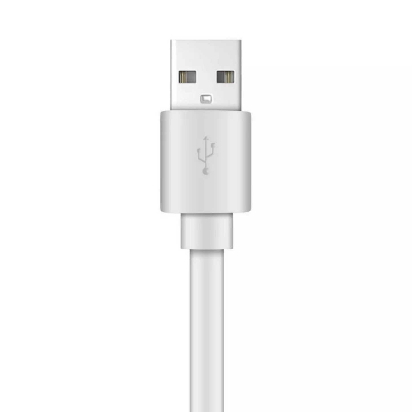 Xyst Charge- und Synchronisations-USB-auf-Lightning-Flachkabel 1,2 m